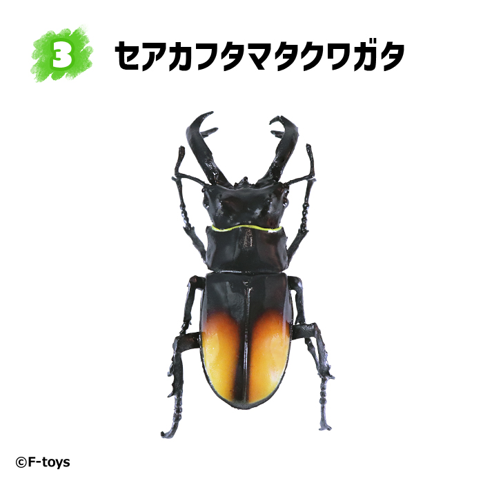 昆虫ハンター2023