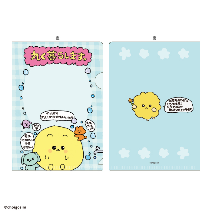 チェゴシム<br>ミニクリアファイルガム