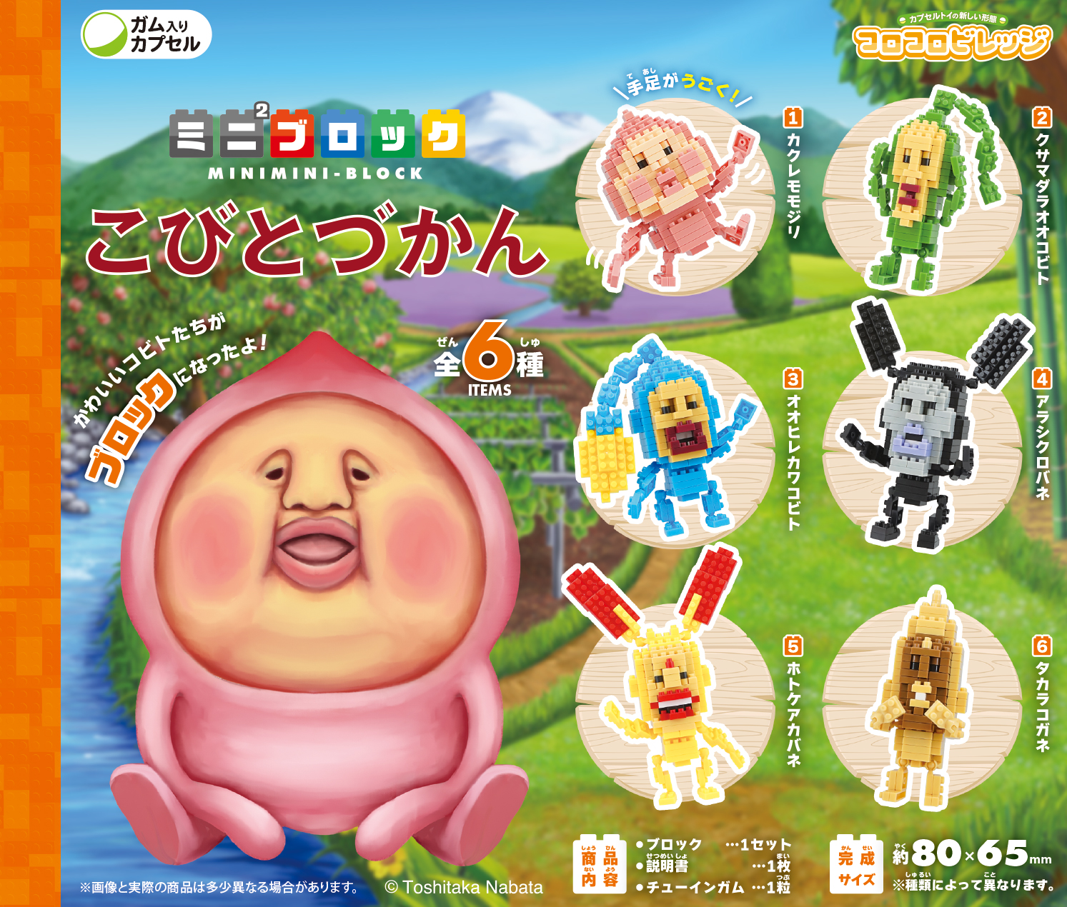 <コロコロビレッジ><br>ミニ²ブロック こびとづかん