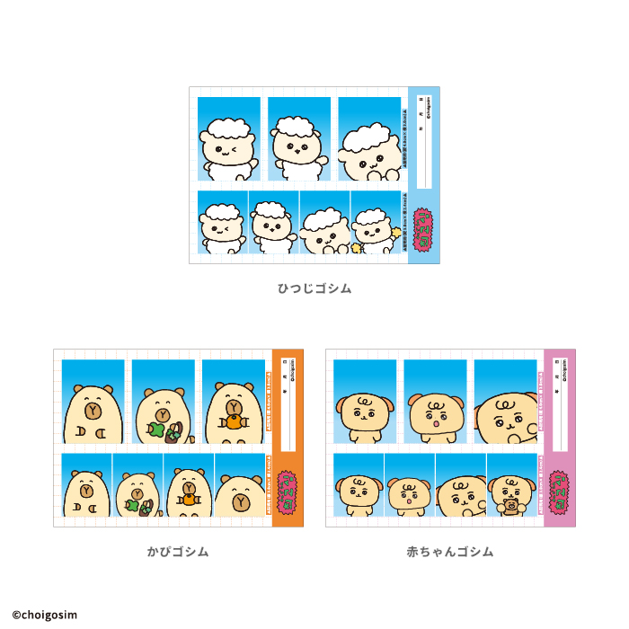 チェゴシム<br>証明写真風ステッカーガム