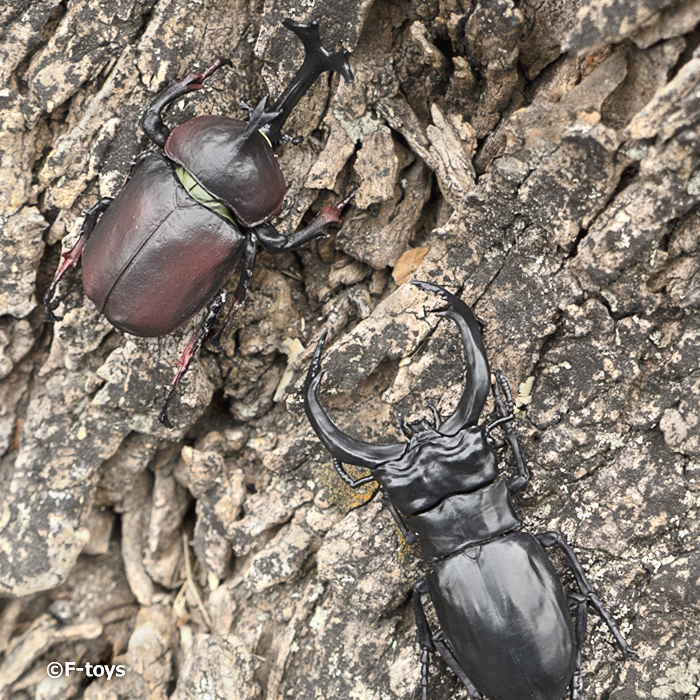 昆虫ハンター2026