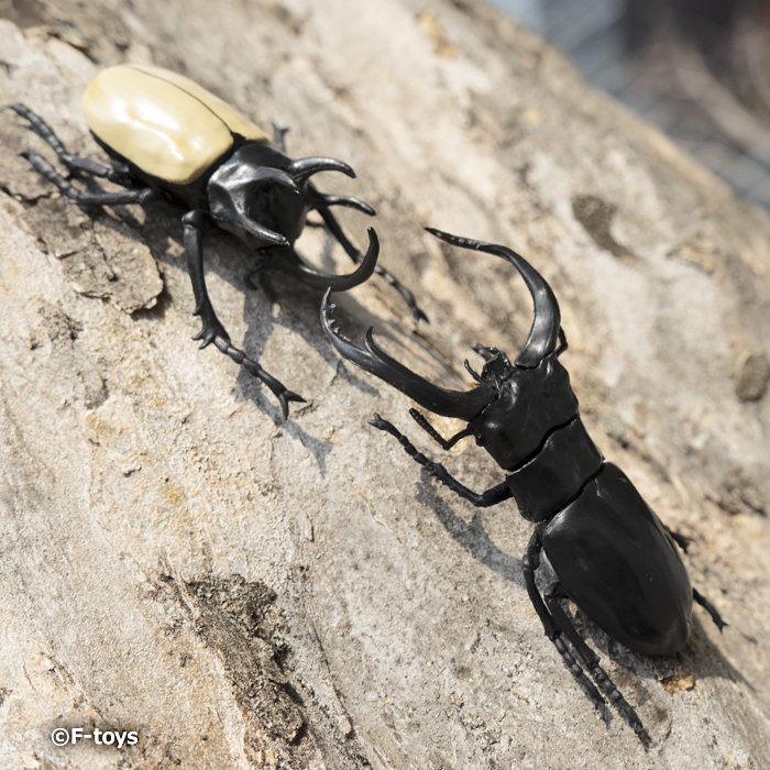 昆虫ハンター2026